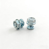 Screw